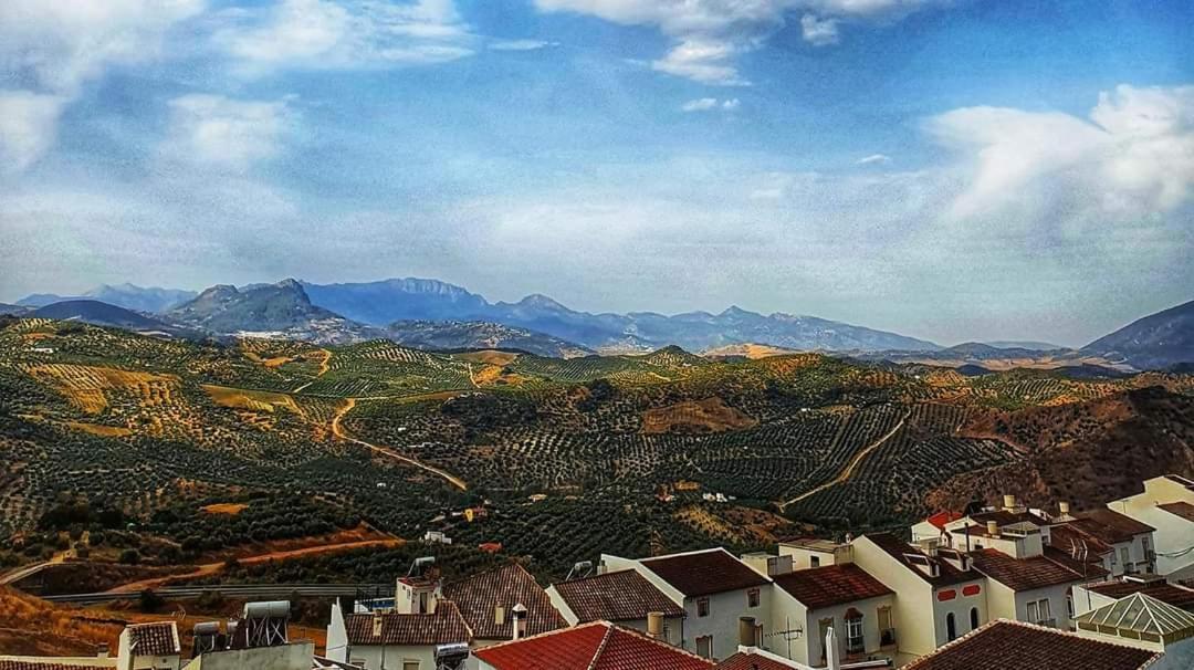Olive Tree Bed And Breakfast Olvera Luaran gambar