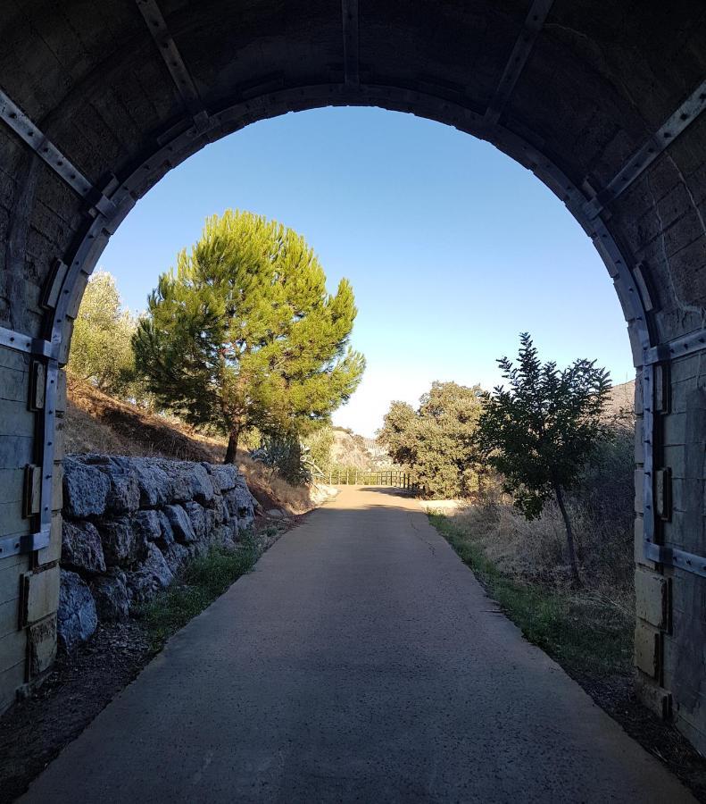 Olive Tree Bed And Breakfast Olvera Luaran gambar